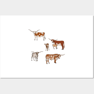 Texas Longhorn Pattern Transparent Posters and Art